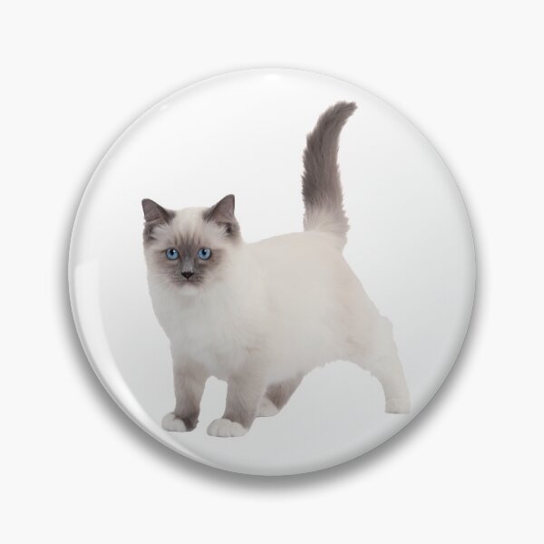 Item preview, Ragdoll Cats  designed and sold by NAND1.
