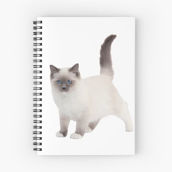 Item preview, Ragdoll Cats  designed and sold by NAND1.