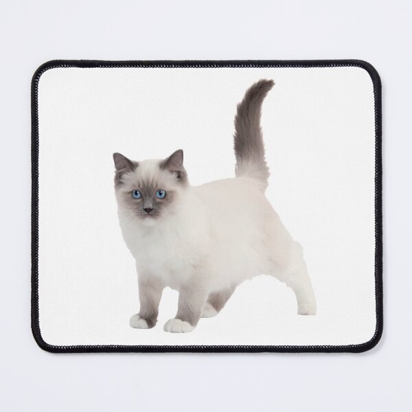 Item preview, Ragdoll Cats  designed and sold by NAND1.