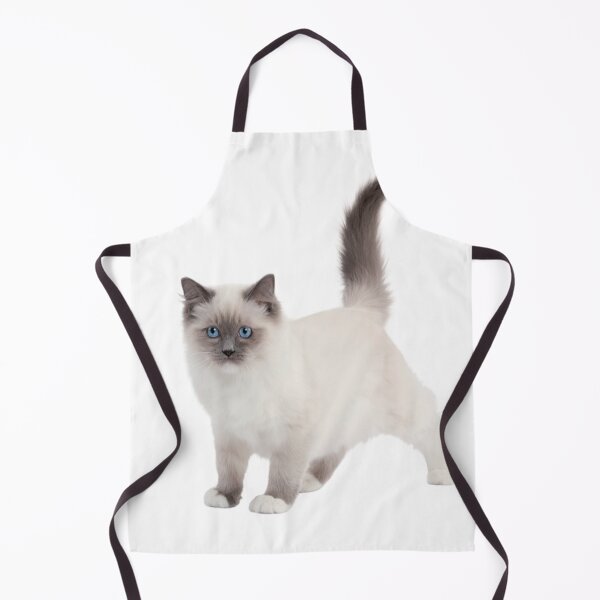 Item preview, Ragdoll Cats  designed and sold by NAND1.