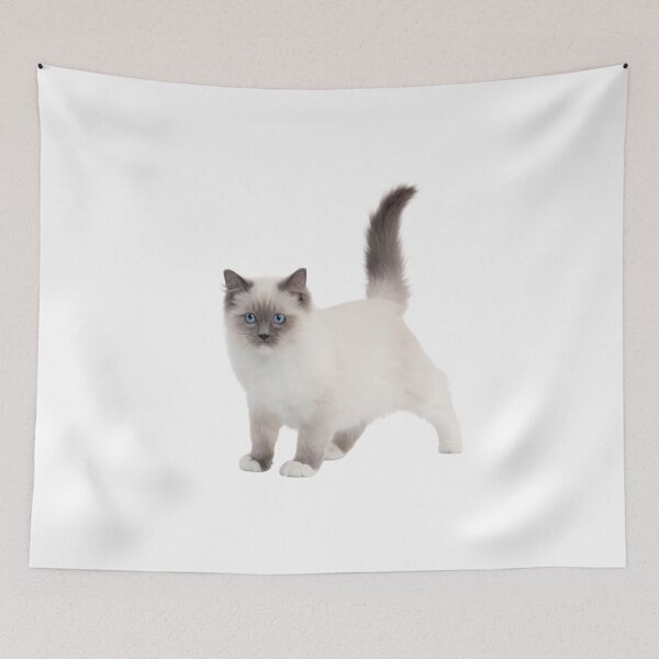 Item preview, Ragdoll Cats  designed and sold by NAND1.