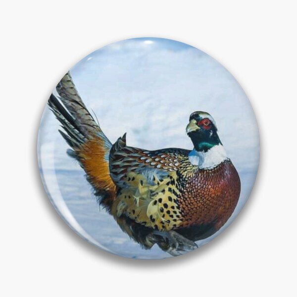 Item preview, Beautiful colourful Bird dancing on Ice  designed and sold by VIVEK KUMAR RAI.