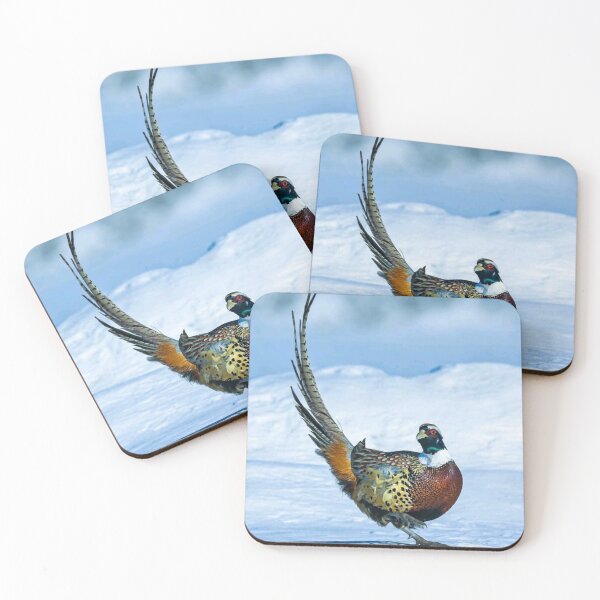 Item preview, Beautiful colourful Bird dancing on Ice  designed and sold by VIVEK KUMAR RAI.