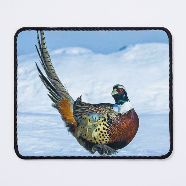 Item preview, Beautiful colourful Bird dancing on Ice  designed and sold by VIVEK KUMAR RAI.