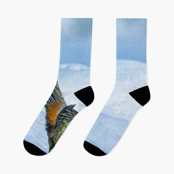 Item preview, Beautiful colourful Bird dancing on Ice  designed and sold by VIVEK KUMAR RAI.