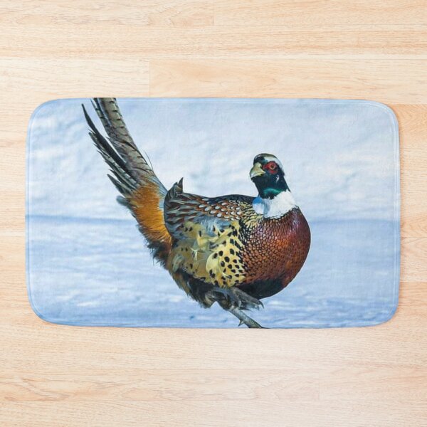Item preview, Beautiful colourful Bird dancing on Ice  designed and sold by VIVEK KUMAR RAI.