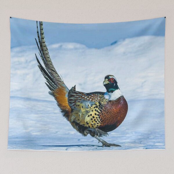 Item preview, Beautiful colourful Bird dancing on Ice  designed and sold by VIVEK KUMAR RAI.