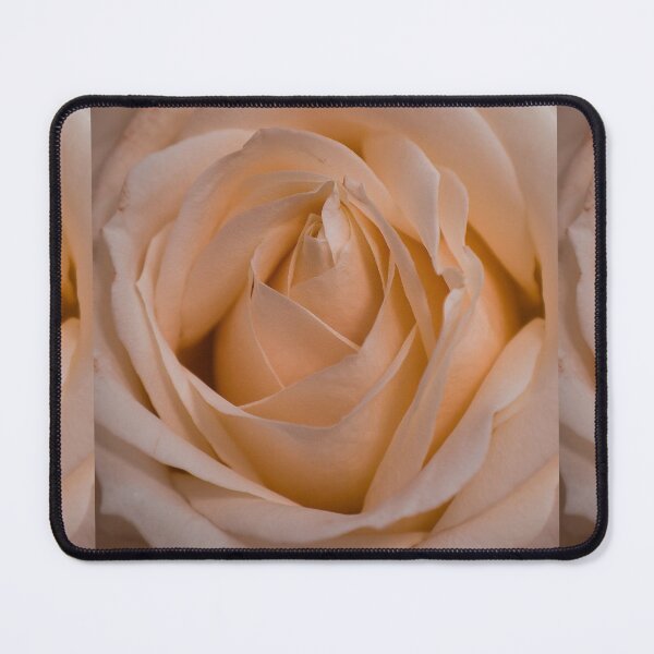 Item preview, Romantic Blush Pink Rose designed and sold by newburyboutique.