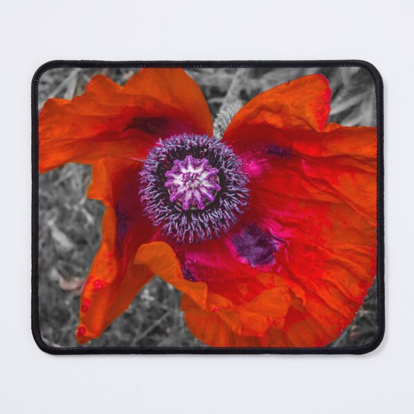Item preview, Giant opium poppy - selective color designed and sold by Lyl Dil Creations.