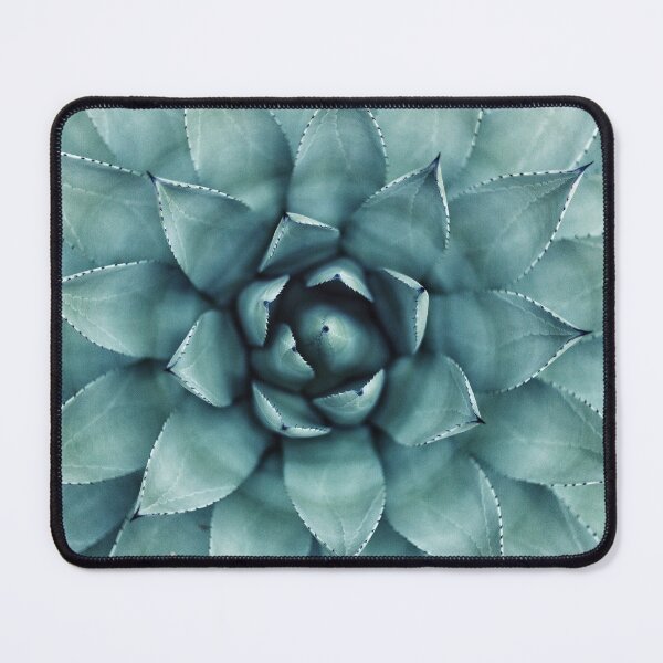 Item preview, Succulent green caci designed and sold by Inspieation.