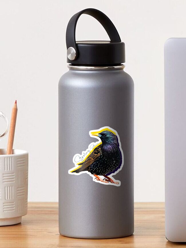 Thumbnail 1 of 3, Sticker, Starling, Starling (from "Hippoposthumous") designed and sold by UDTCo.