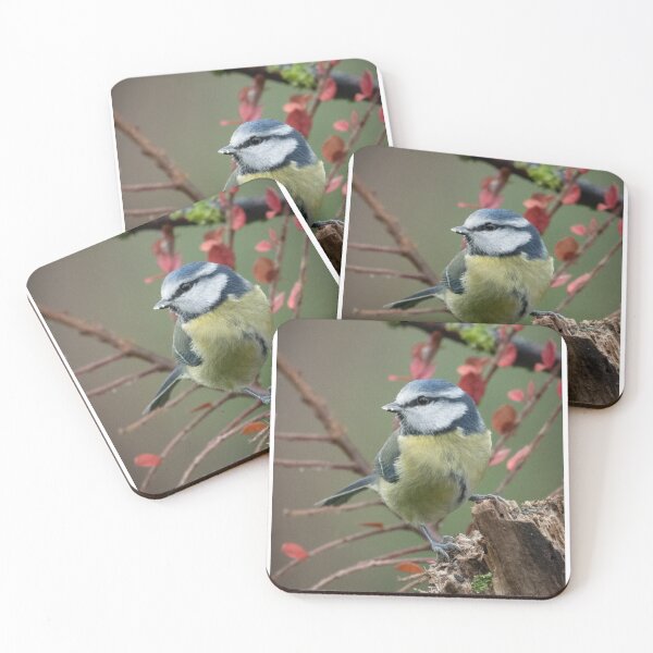 Item preview, Bluetit perched  designed and sold by Steve Franks.