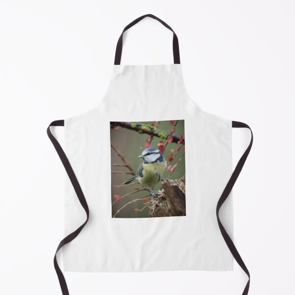 Item preview, Bluetit perched  designed and sold by Steve Franks.