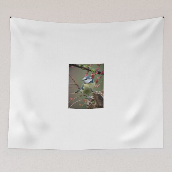 Item preview, Bluetit perched  designed and sold by Steve Franks.