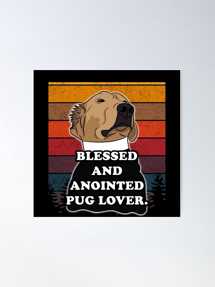 Anointed pet shippers fashion