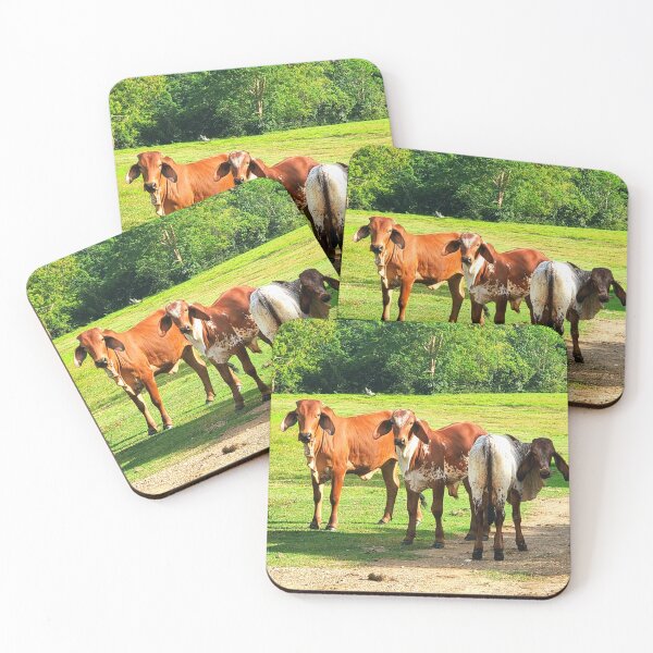Item preview, Cows designed and sold by ArteAnnie.