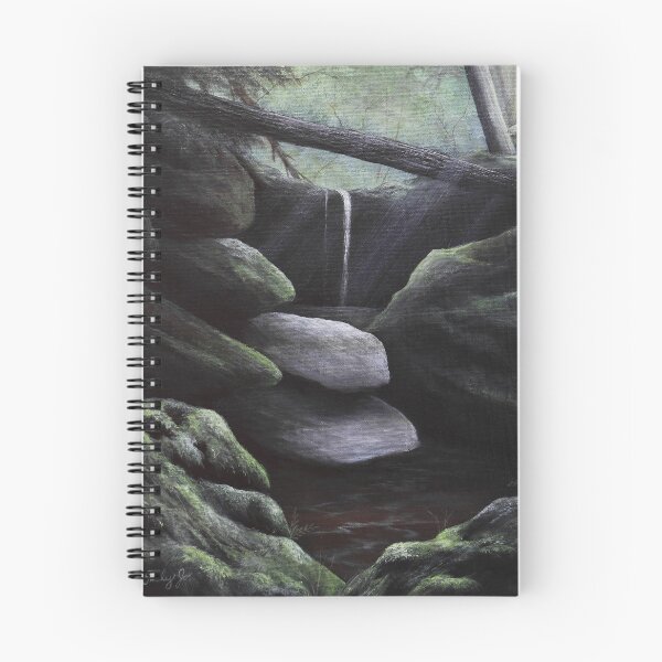 Item preview, Photo of a Phantom designed and sold by Lens2Canvas.