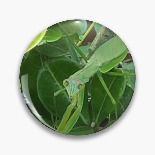 Item preview, Mantis religiosa designed and sold by Paul Garlits.