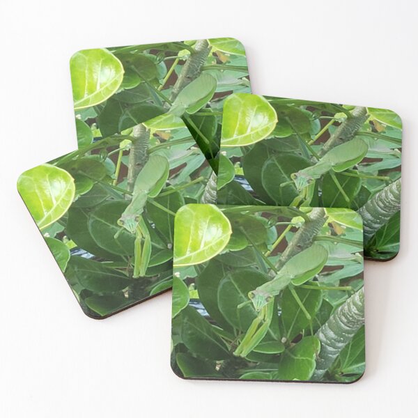 Item preview, Praying mantis  designed and sold by Paul  Garlits.