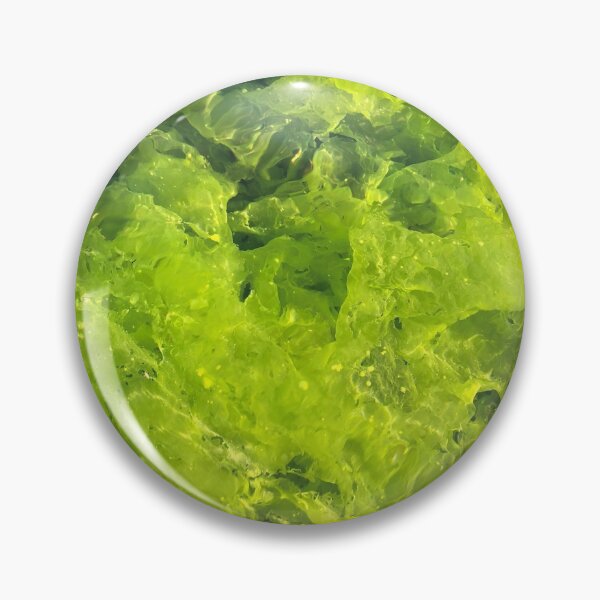 Item preview, Algae under water designed and sold by LeilaneDesigns.