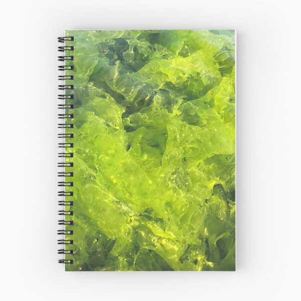 Item preview, Algae under water designed and sold by LeilaneDesigns.