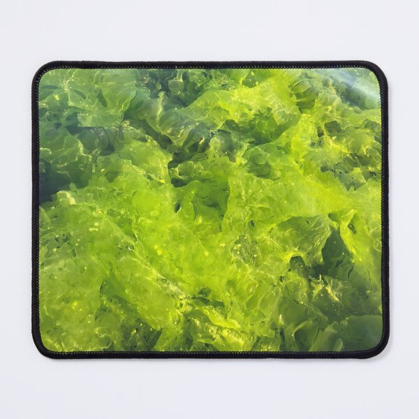 Item preview, Algae under water designed and sold by LeilaneDesigns.
