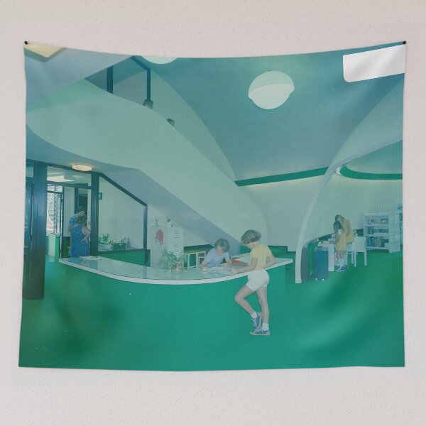 Item preview, BINISHELL, NORTH NARRABEEN PRIMARY SCHOOL designed and sold by Night-parade.