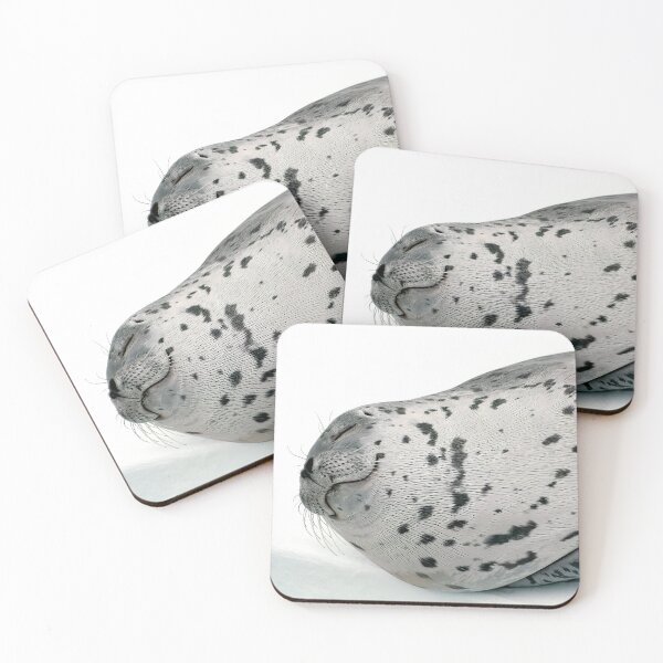 Item preview, Happy Seal Relaxing At The Pool designed and sold by plugsnpixels.