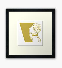 Nash SFV Framed Print