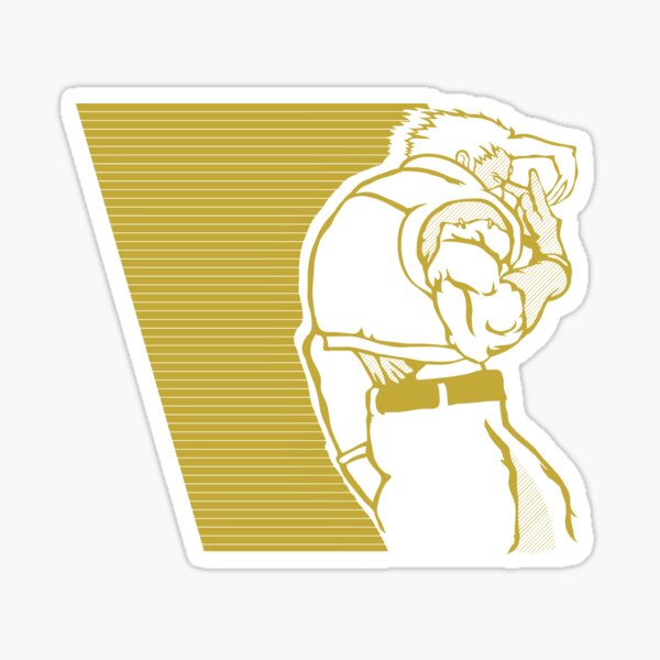 Nash SFV Sticker