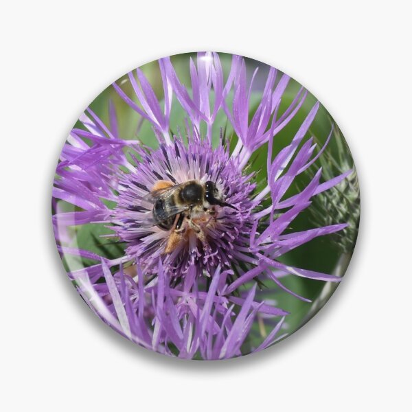 Item preview, Knapweed Feeds Bees designed and sold by meetmymemories.