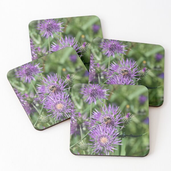 Item preview, Knapweed Feeds Bees designed and sold by meetmymemories.