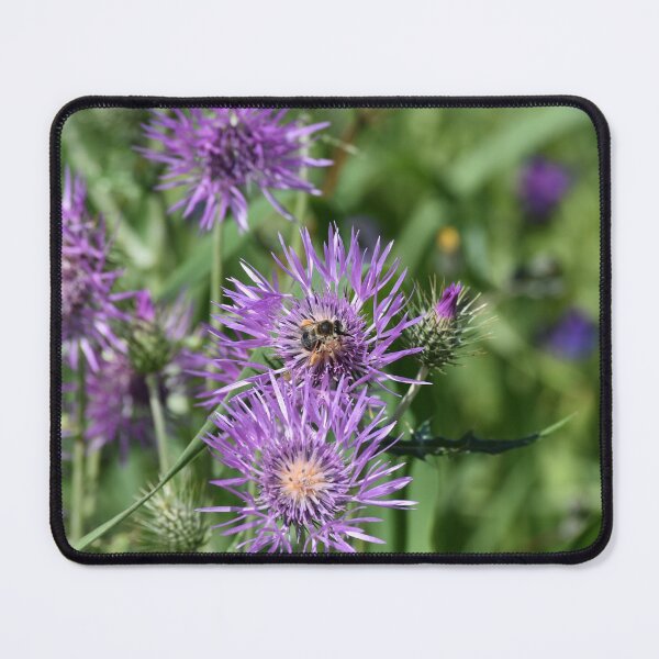 Item preview, Knapweed Feeds Bees designed and sold by meetmymemories.