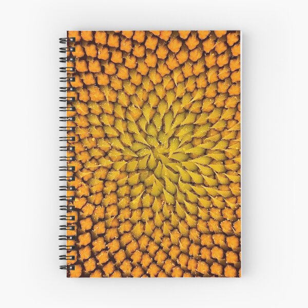 Artikelvorschau, Sonnenblume, Natur, Foto entworfen und verkauft von LeilaneDesigns.