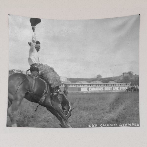 Item preview, horse bucking designed and sold by Night-parade.