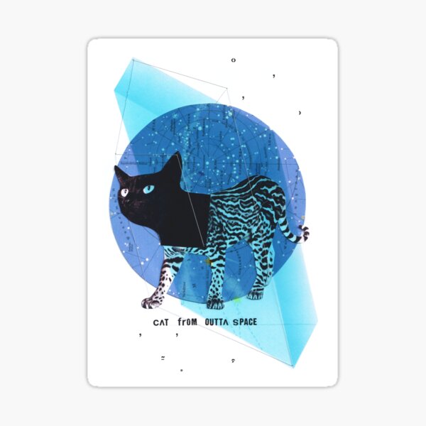 cat from outta space Sticker