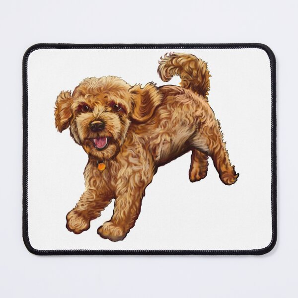 Item preview, cavalier king charles spaniel poodle Cavapoo playing - Cavapoo puppy dog prancing about  - cavalier king charles spaniel poodle, puppy love designed and sold by Artonmytee.