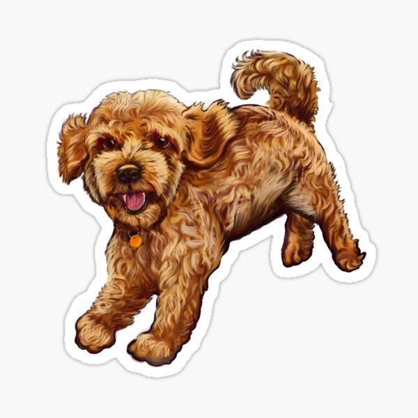Item preview, cavalier king charles spaniel poodle Cavapoo playing - Cavapoo puppy dog prancing about  - cavalier king charles spaniel poodle, puppy love designed and sold by Artonmytee.