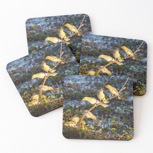 Item preview, It's a Bird's Life designed and sold by EmJayK.