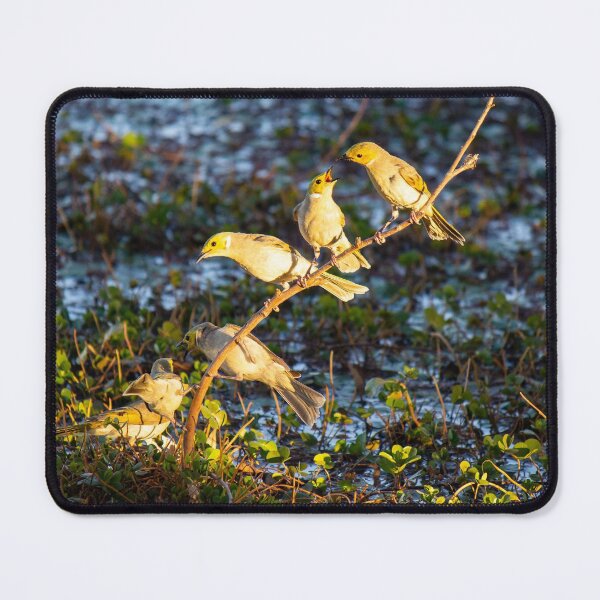Item preview, It's a Bird's Life designed and sold by EmJayK.