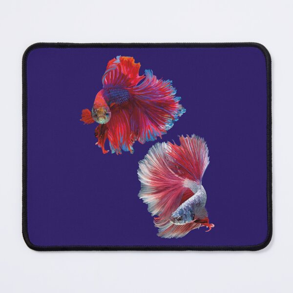 Item preview, TWO SIAMESE FIGHTING FISH designed and sold by janeynic.