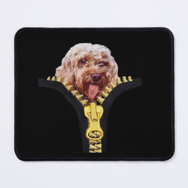 Item preview, Doggy in my pocket - Cavapoo Cavoodle puppy dog sticking it’s tongue out - cute cavalier king charles spaniel designed and sold by Artonmytee.