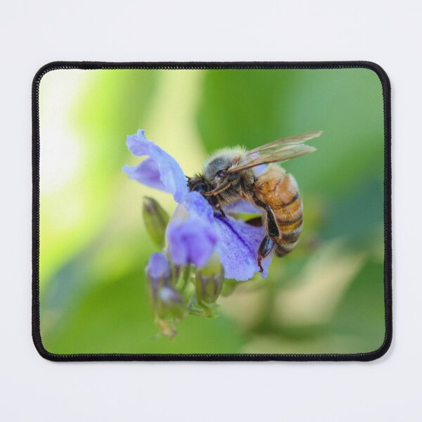 Item preview, Feasting Bee designed and sold by EmJayK.