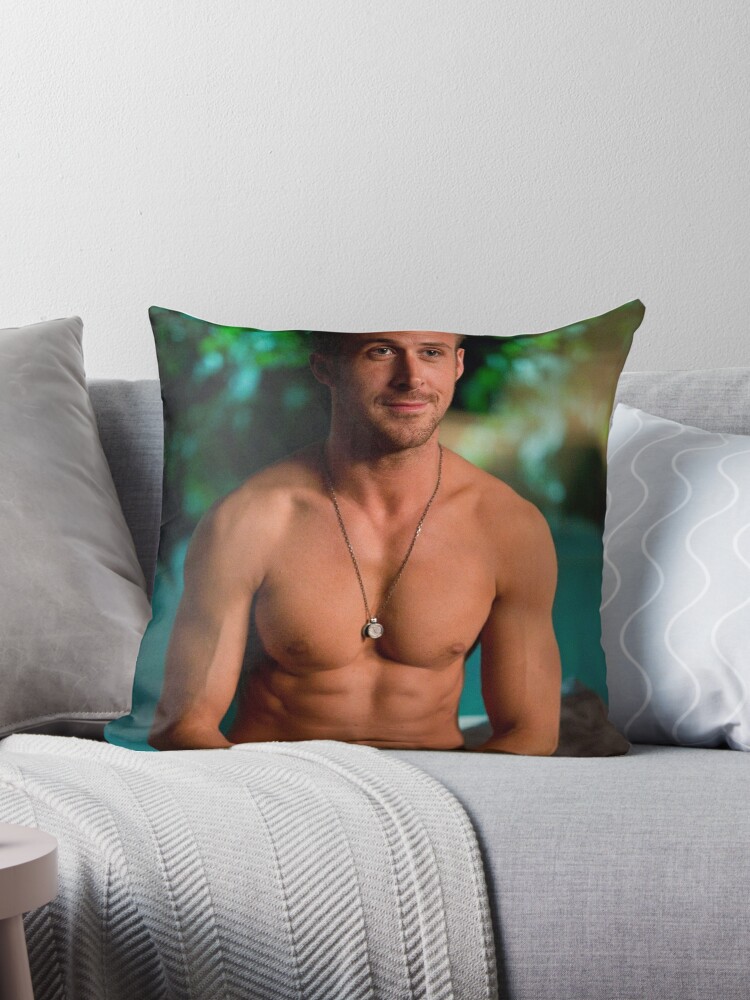 https://ih1.redbubble.net/image.3058316699.4165/throwpillow,medium,750x1000-bg,f8f8f8.jpg