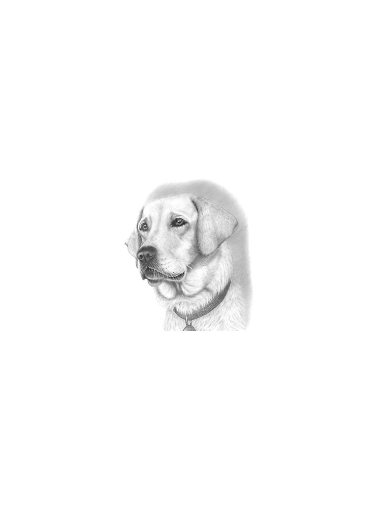 Thumbnail 3 of 3, Scarf, Labrador  designed and sold by Customdrawing.