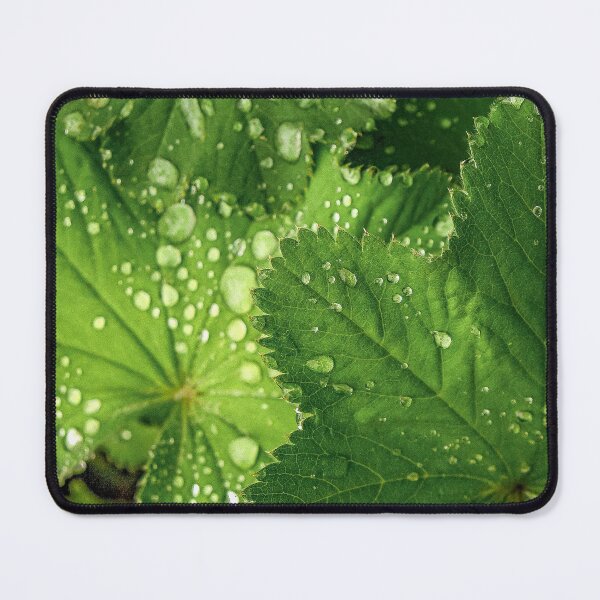 Item preview, LADY'S MANTLE designed and sold by Sandra Belitza-Vazquez.