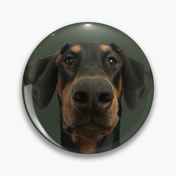 Artikelvorschau, Dobermann Pincher Welpe entworfen und verkauft von sissymoon22.
