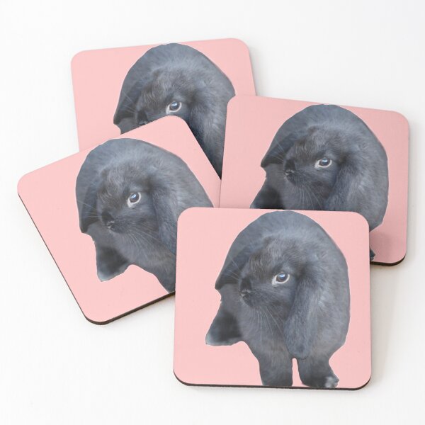Item preview, black and grey Holland Lop bunny photography designed and sold by LadyCottonTail.