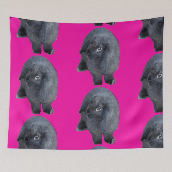 Item preview, black and grey Holland Lop bunny photography designed and sold by LadyCottonTail.