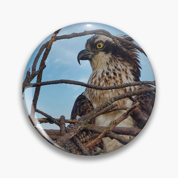 Item preview, Osprey in nest designed and sold by KDartisticeye.